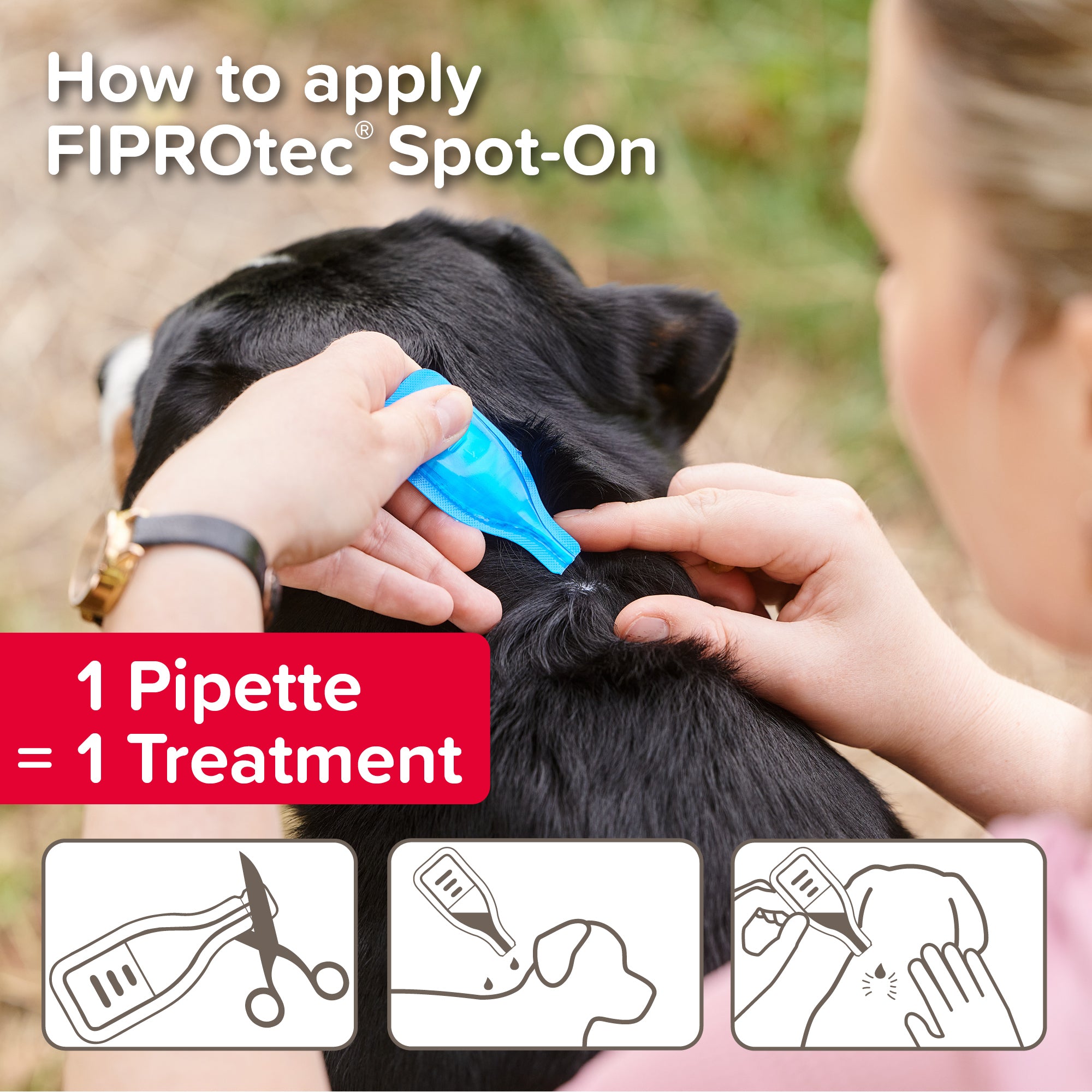 Beaphar FIPROtec Flea & Tick Spot-On for Medium Dogs (10-20kg), 1 Pipette