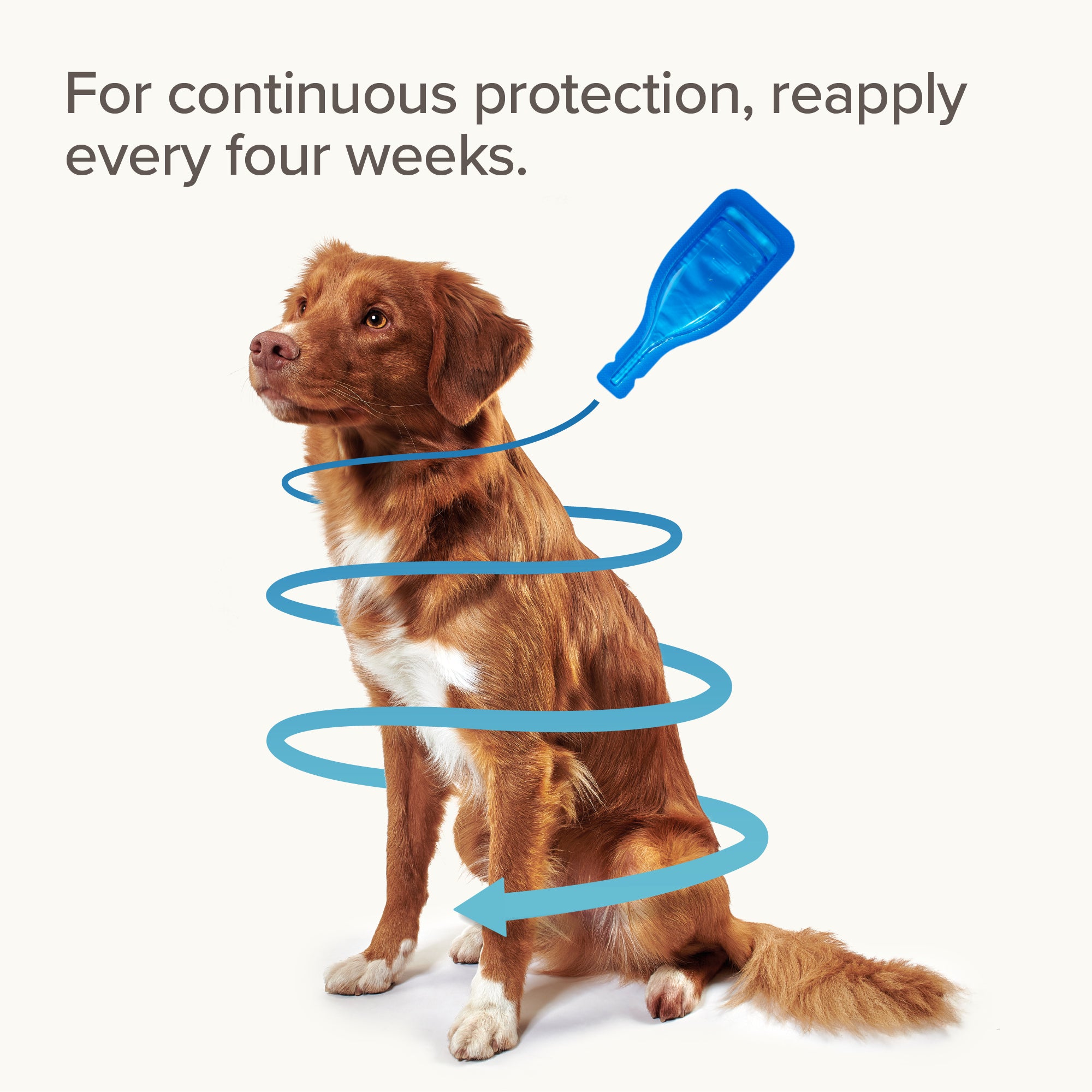 Beaphar FIPROtec Flea & Tick Spot-On for Large Dogs (20-40kg), 1 Pipette