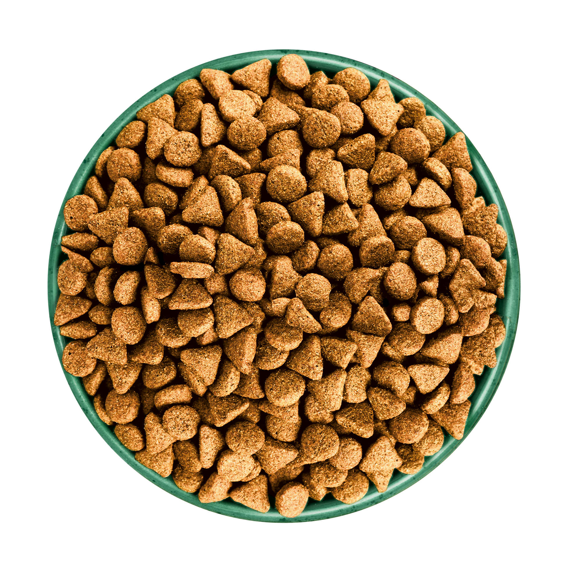 James Wellbeloved Turkey with Kale & Quinoa Superfoods Dry Dog Food for Adult Dogs, 10kg