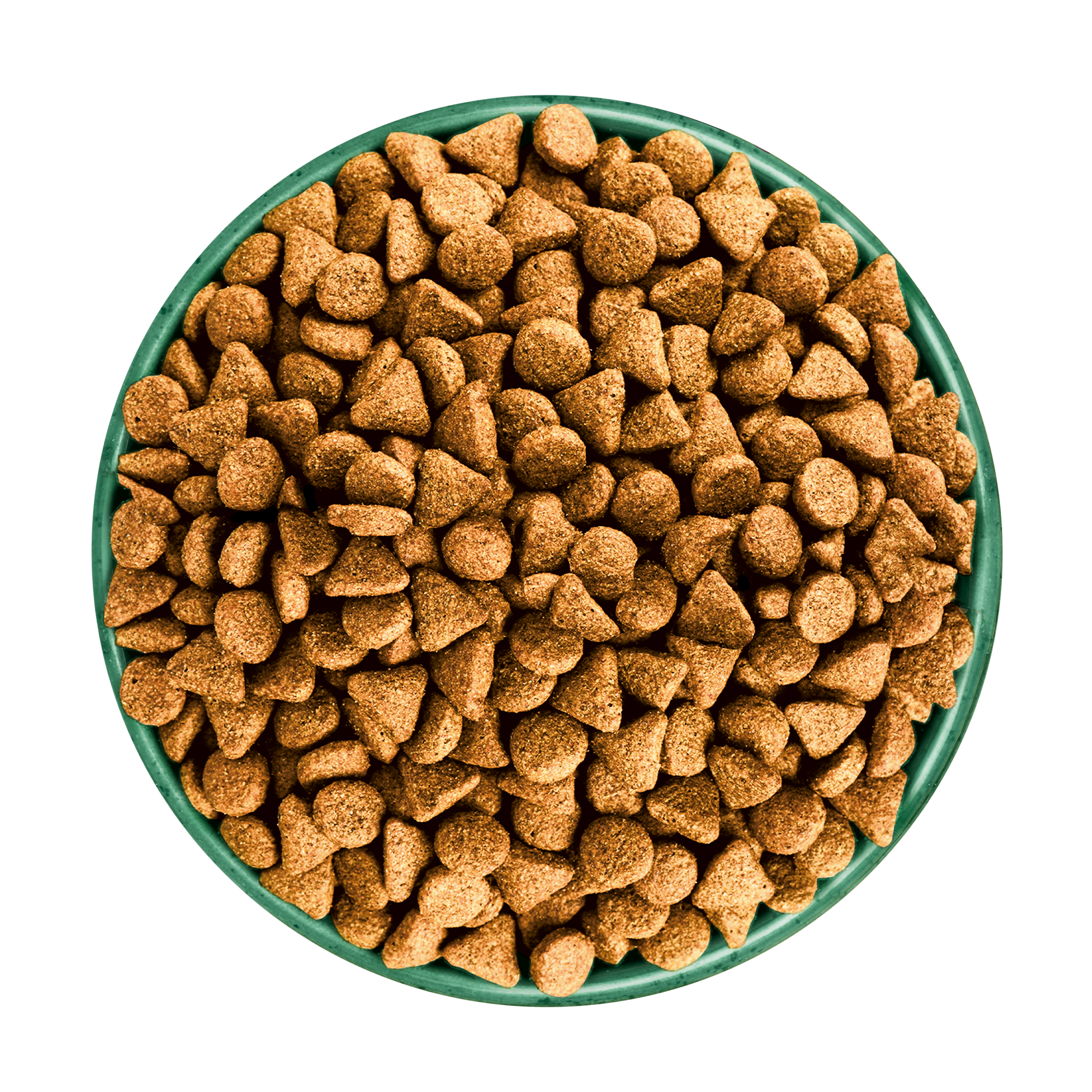 James Wellbeloved Turkey with Kale & Quinoa Superfoods Dry Dog Food for Adult Dogs, 10kg