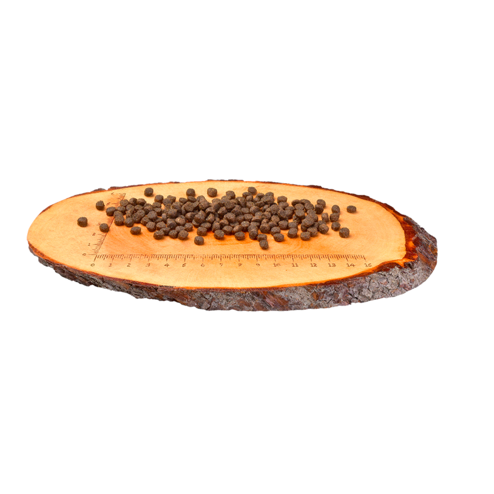Carnilove Salmon & Turkey Dry Cat Food for Kittens