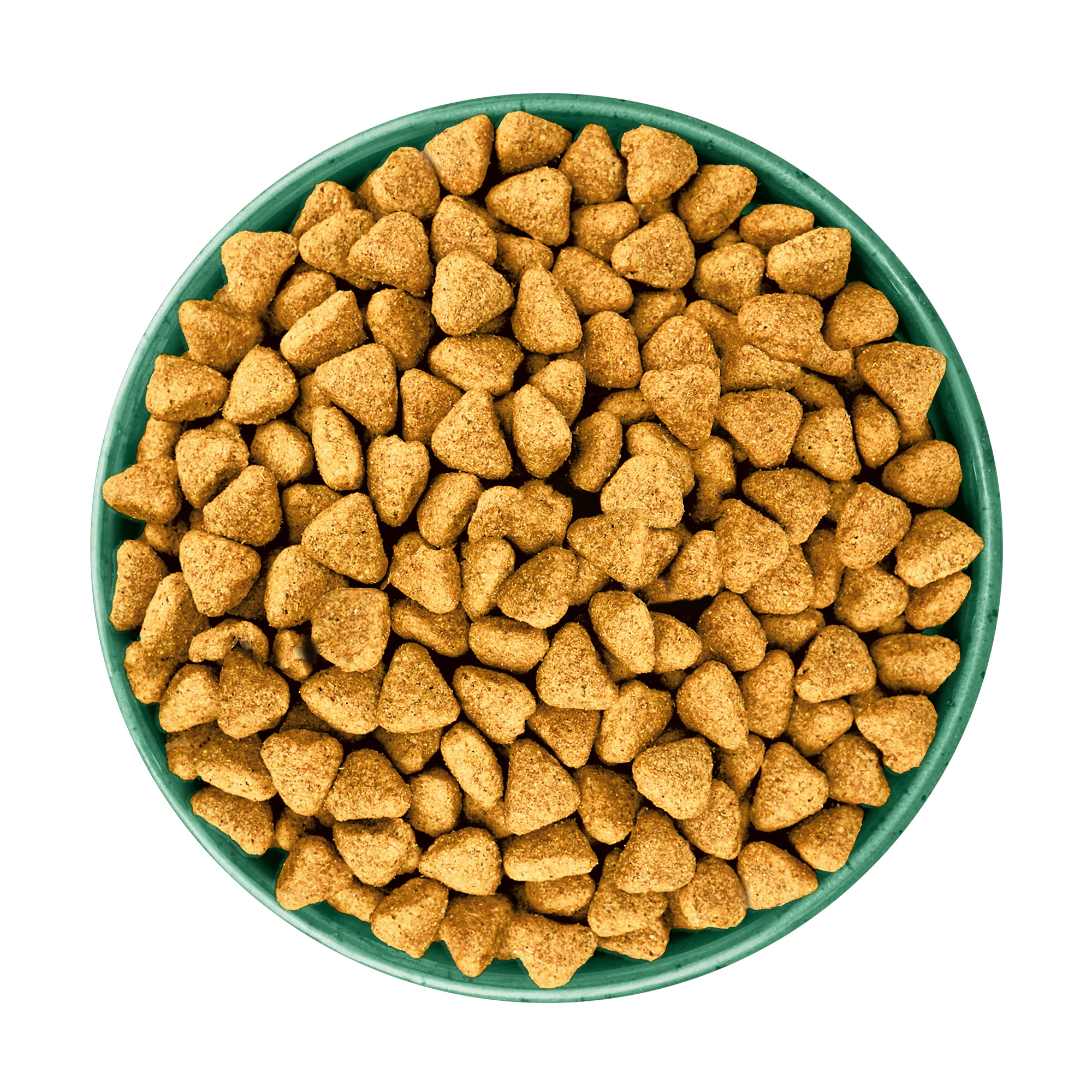 James Wellbeloved Grain Free Turkey & Vegetable Dry Dog Food for Senior Dogs, 10kg