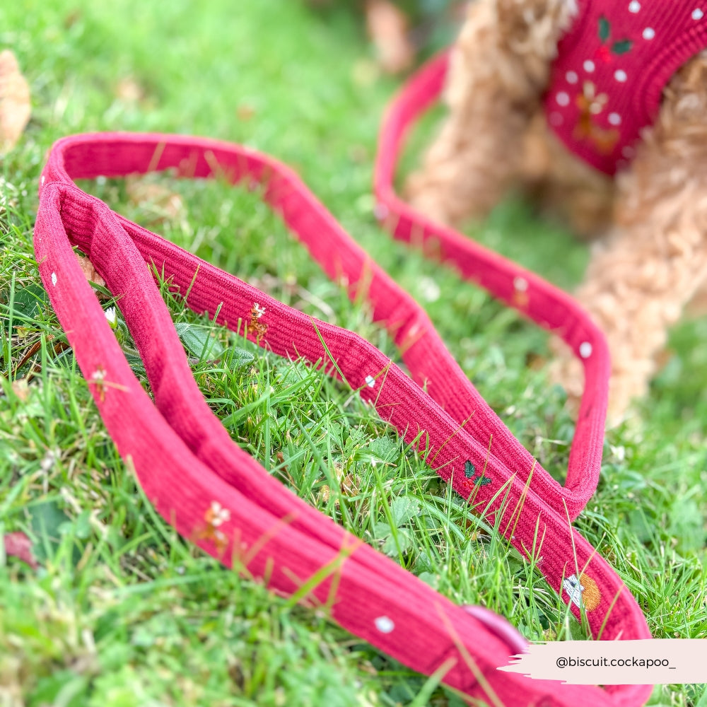 Cocopup Holly Jolly Trails Dog Lead