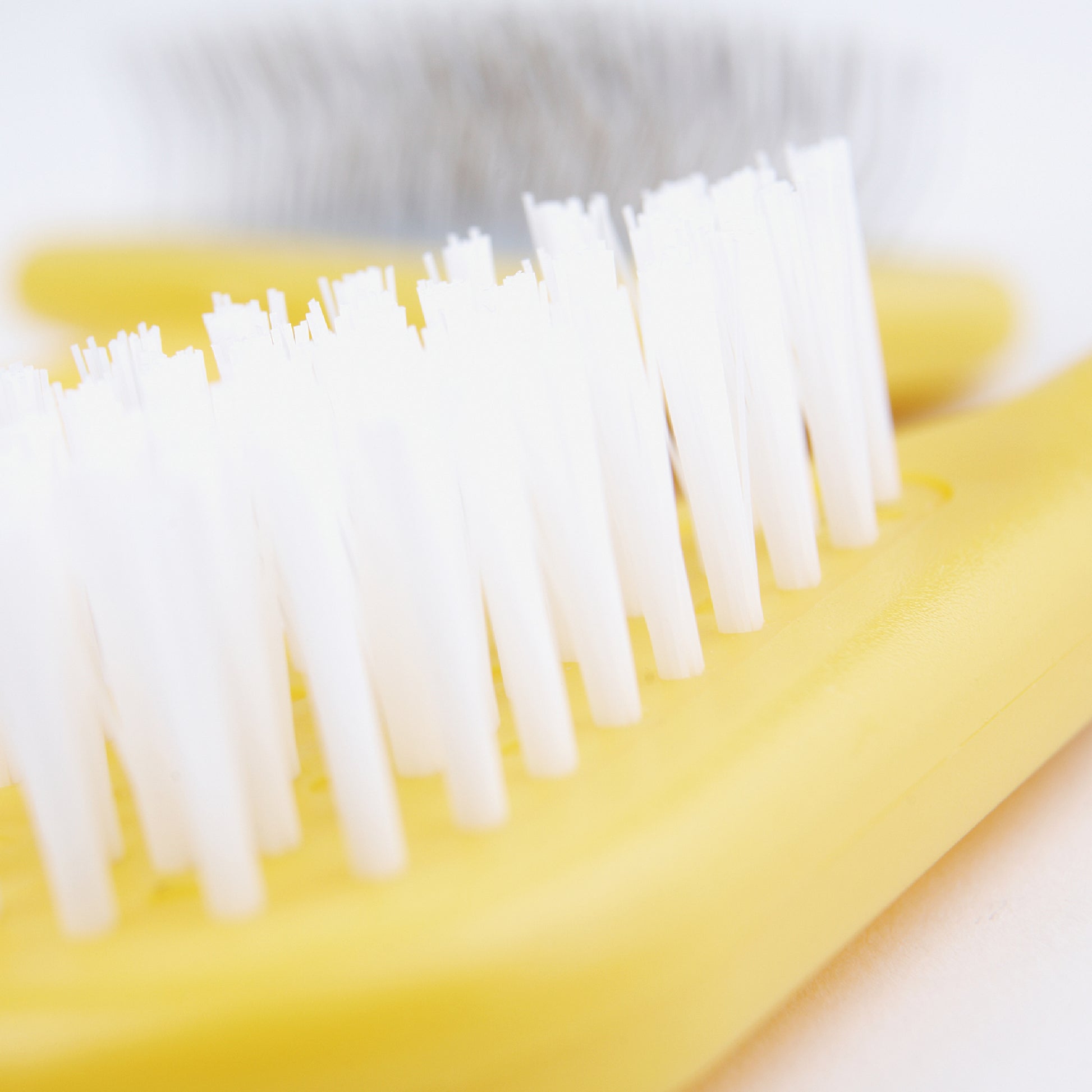 Ancol Small Animal Bristle Brush