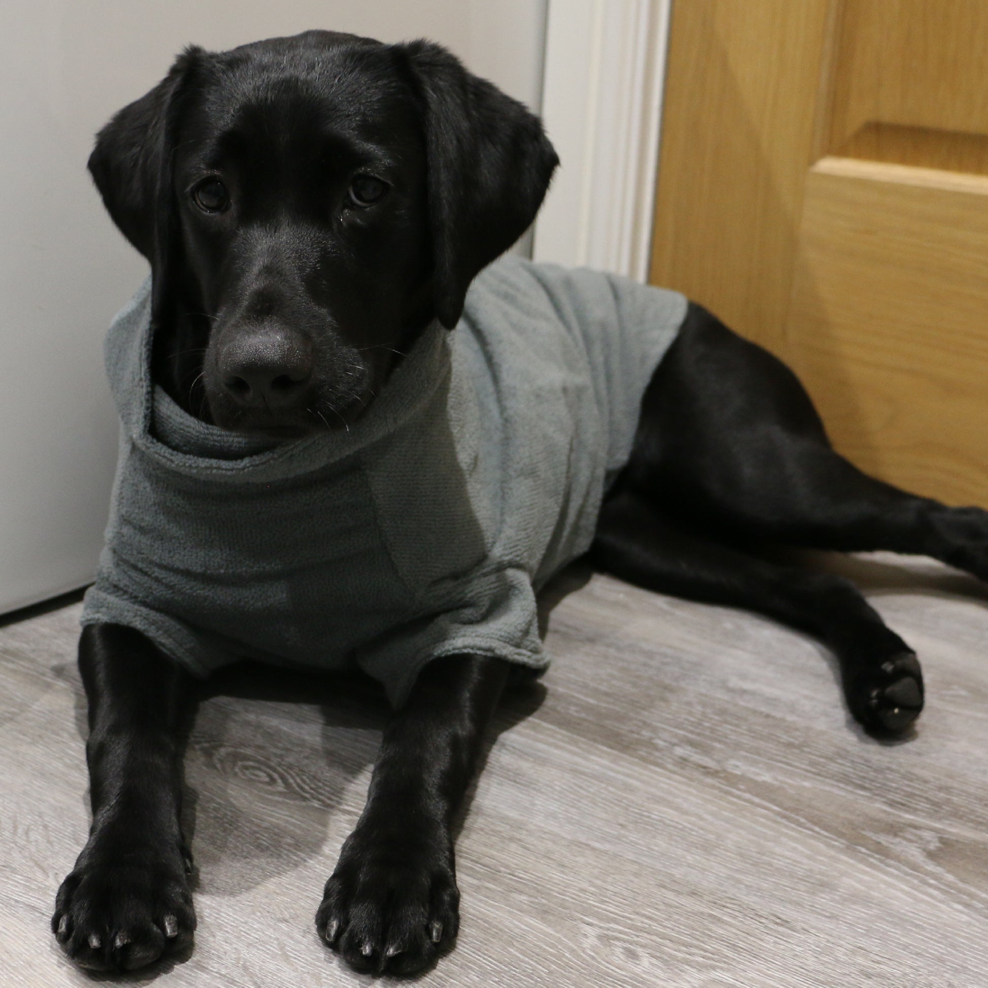 Ancol Simply Dry Deep Drying Dog Coat, 50cm
