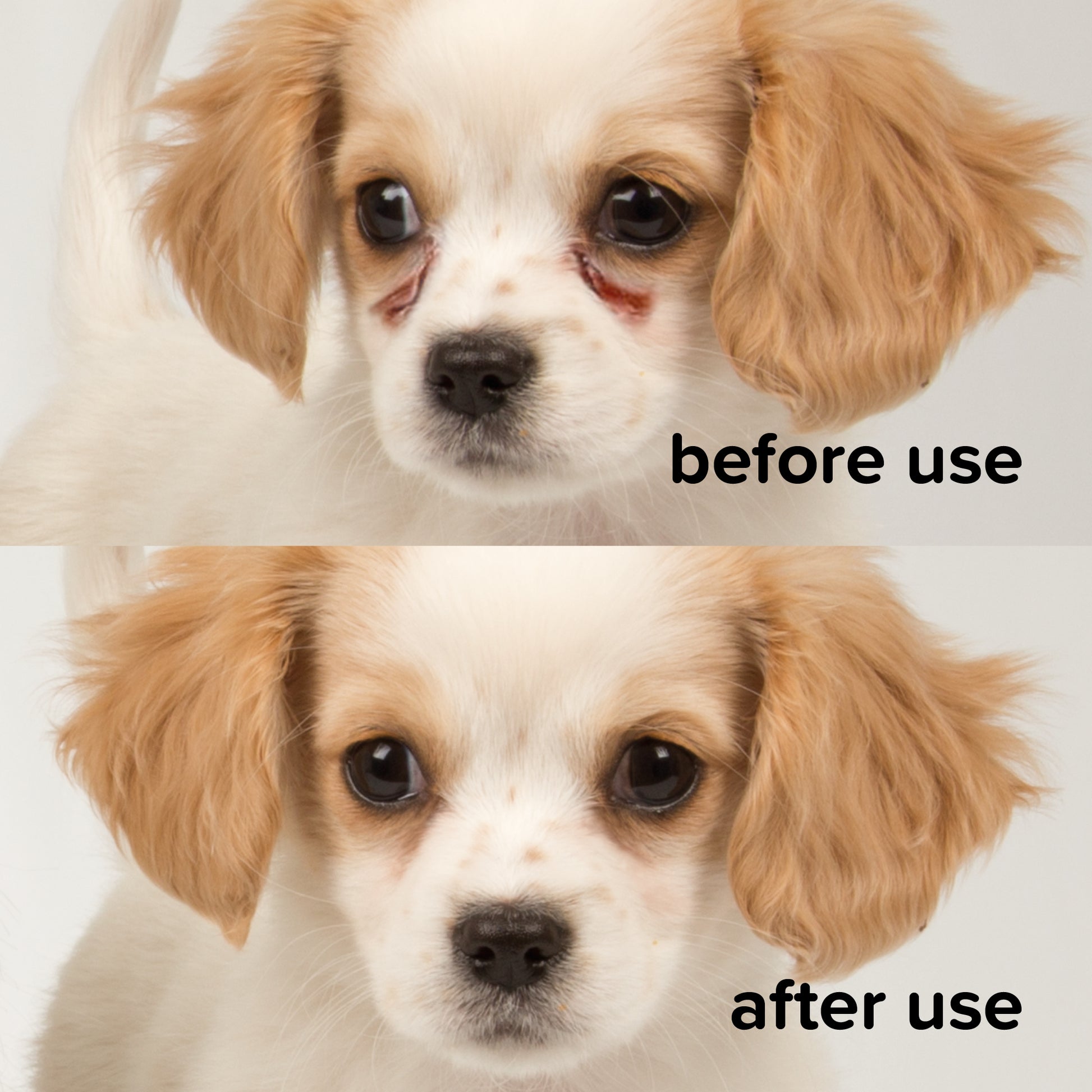 Beaphar Tear Stain Remover Liquid for Cats & Dogs, 50ml