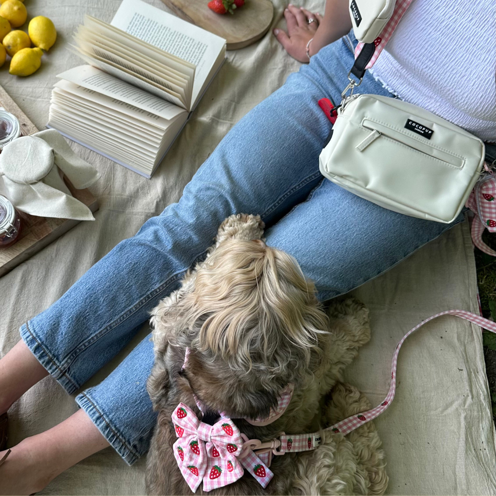 Cocopup Strawberry Picnic Pup Sailor Bow Tie