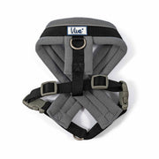 Ancol Viva Padded Dog Harness