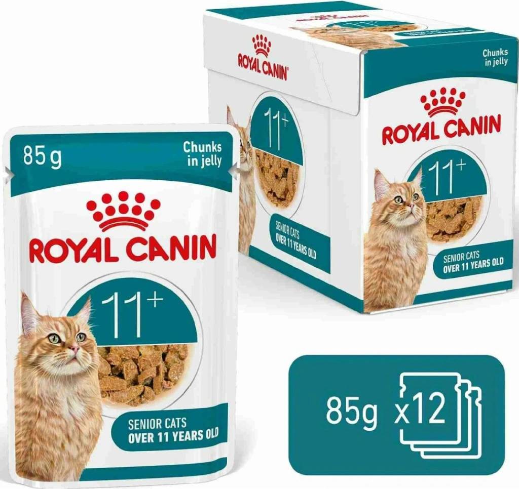 Royal Canin Ageing 11+ Wet Cat Food Chunks in Jelly for Senior Cats, 85g