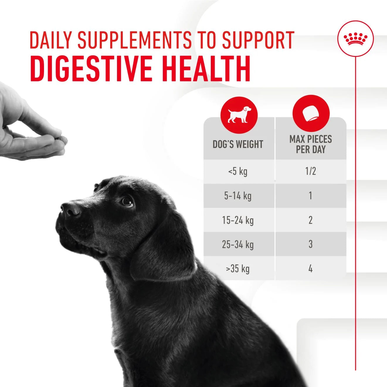 Royal Canin Puppy Supplement for Immunity & Digestion Soft Chews, 100g
