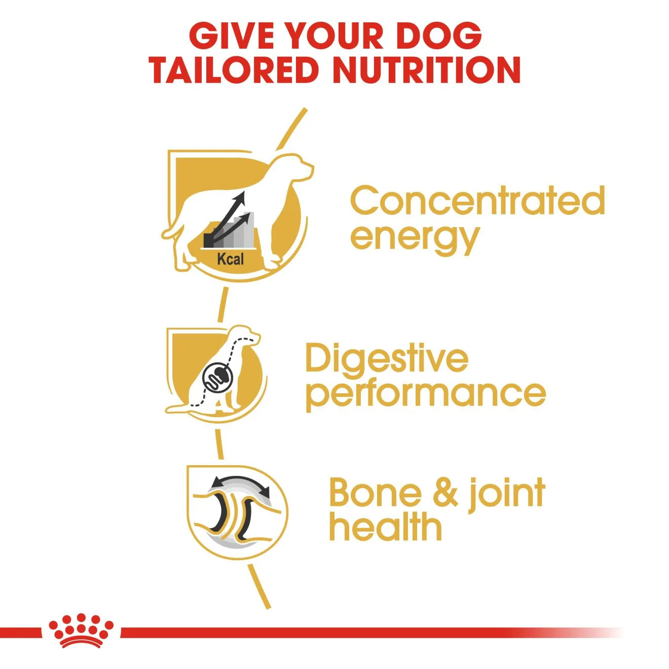 Royal Canin Dry Dog Food for Adult Great Danes, 12kg