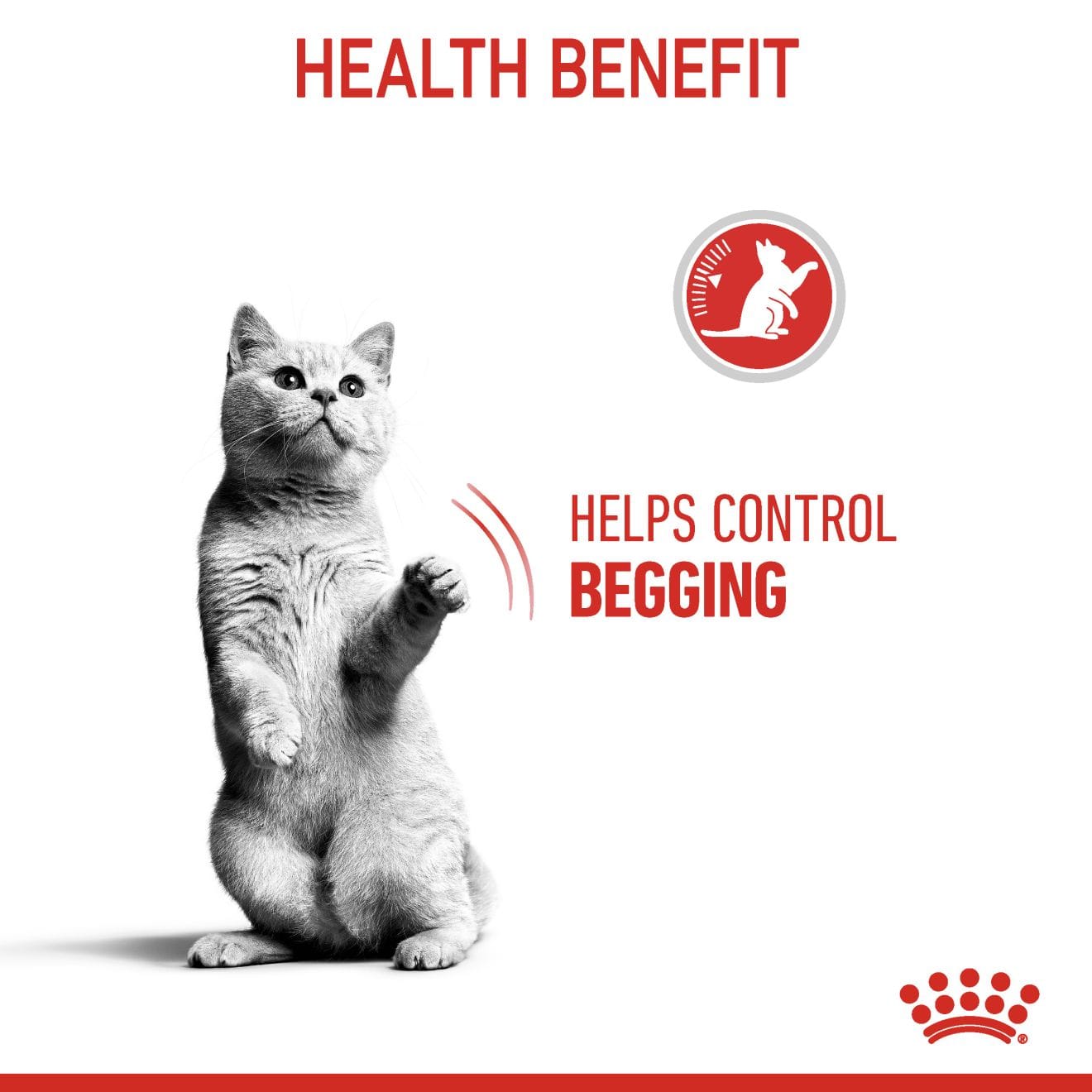 Royal Canin Appetite Control Care Dry Cat Food for Adult Cats, 3.5kg