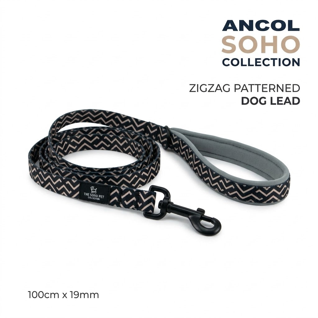 Ancol Soho Zigzag Patterned Dog Lead, 100cm x 19mm