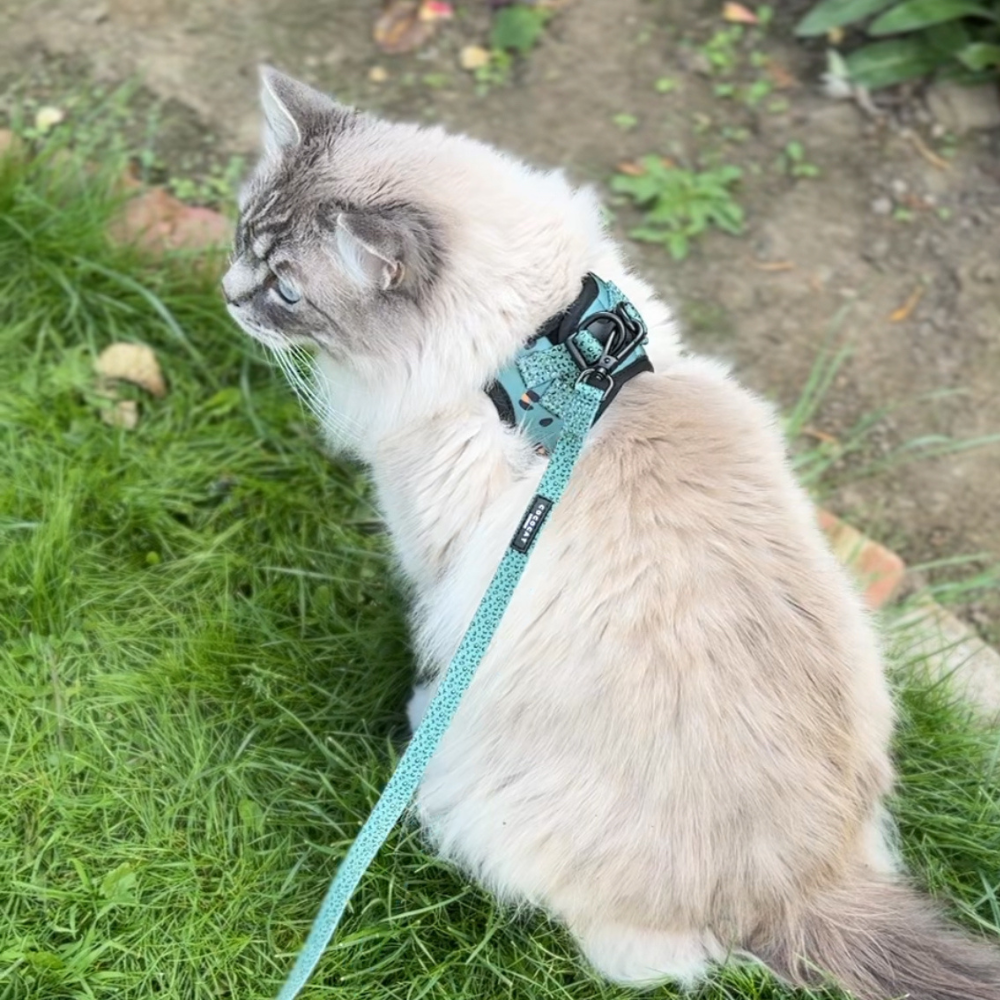 Cocopup Cat Lead, Khaki Leopard