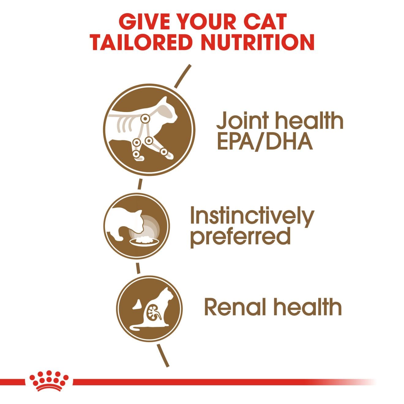 Royal Canin Ageing 12+ Wet Cat Food Chunks In Gravy for Senior Cats, 85g