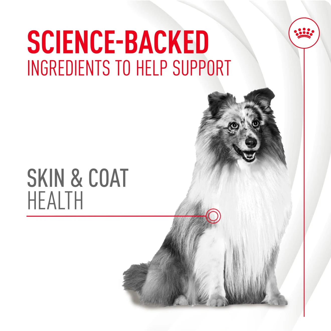 Royal Canin Dog Supplement for Skin & Coat Soft Chews, 240g
