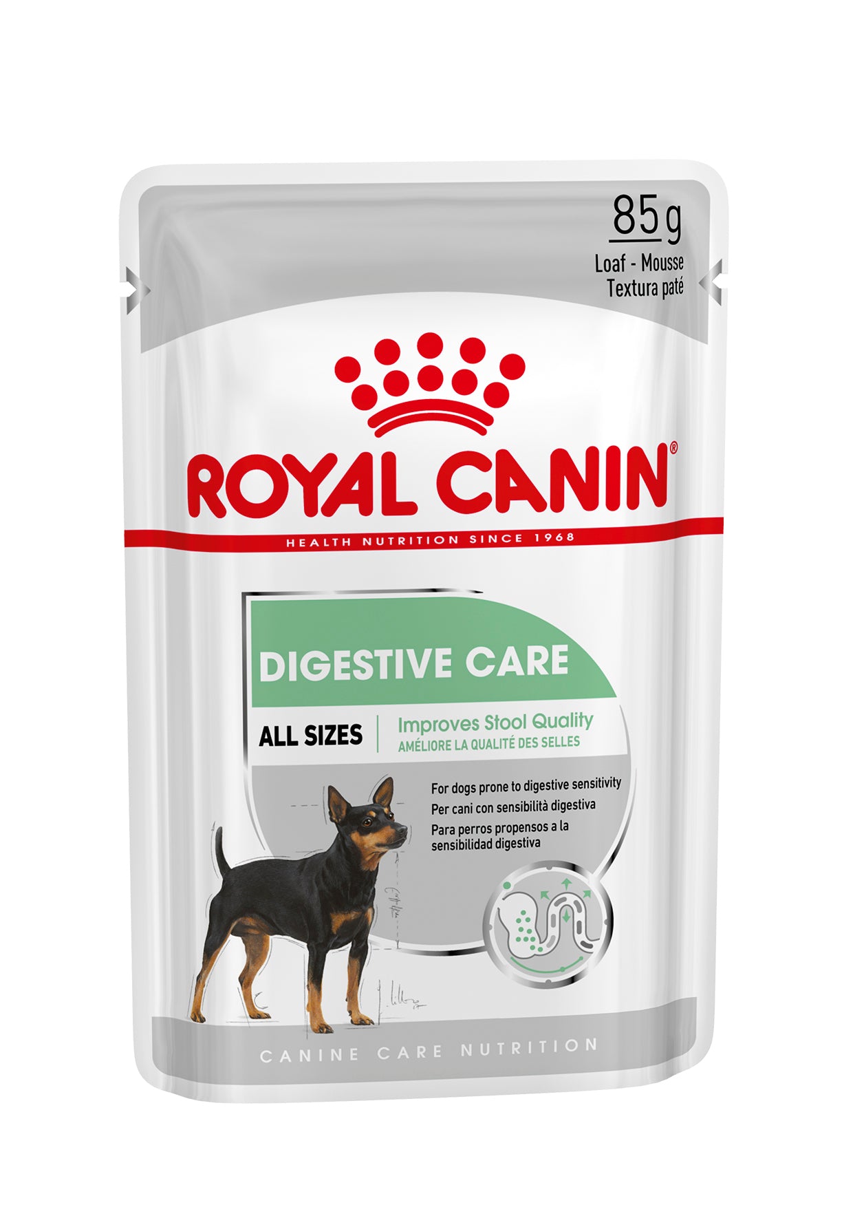 Royal Canin Digestive Care Wet Dog Food Loaf In Sauce for Adult Dogs, 85g