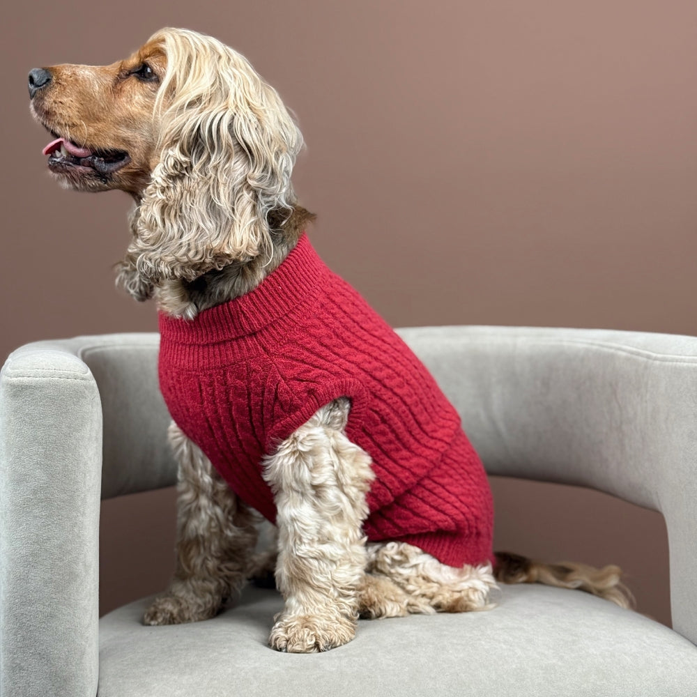 Cocopup Mulled Wine Cable Knit Dog Jumper