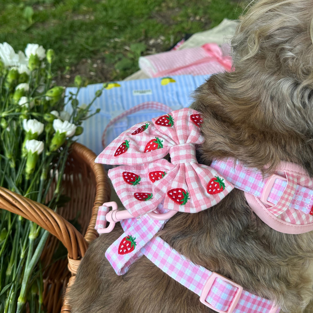 Cocopup Strawberry Picnic Pup Sailor Bow Tie