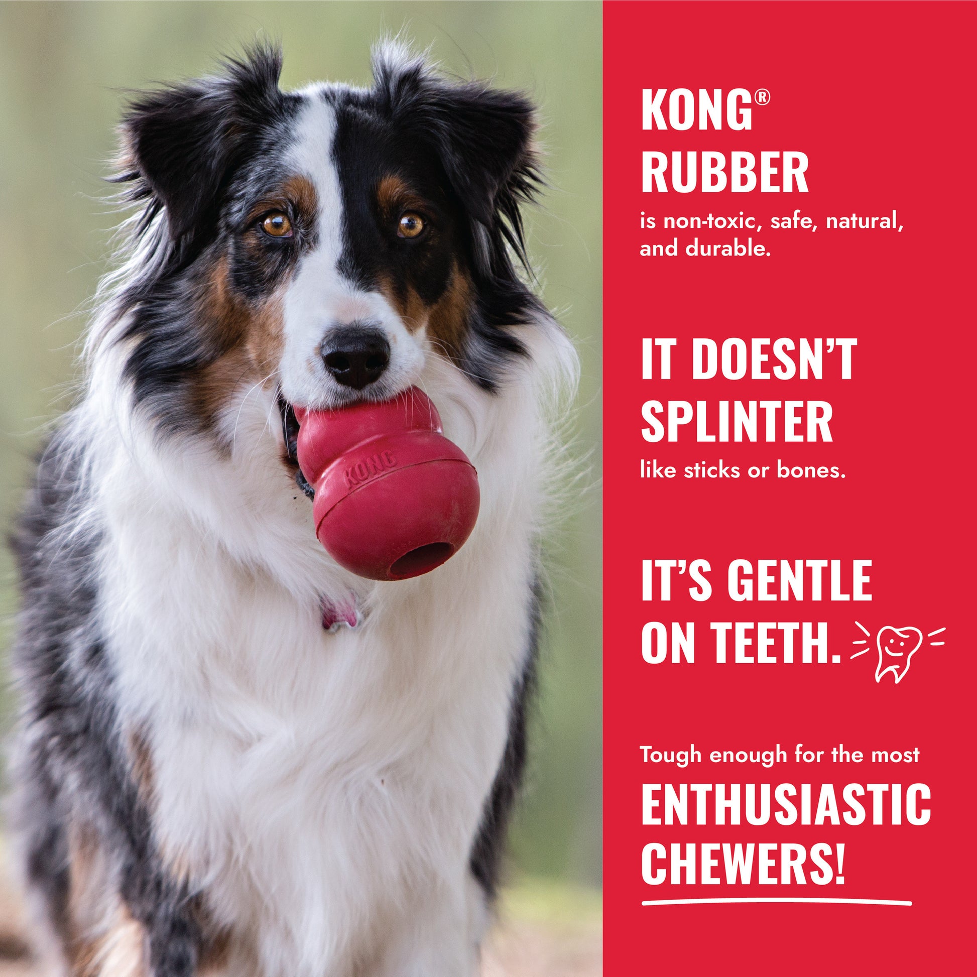 Kong Flyer Frisbee Dog Toy, Large