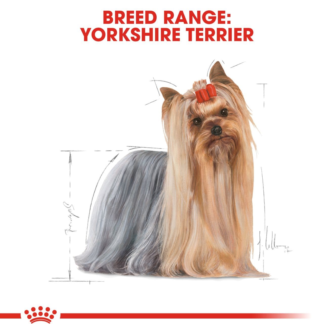 Royal Canin Wet Dog Food In Loaf for Adult Yorkshire Terriers, 85g