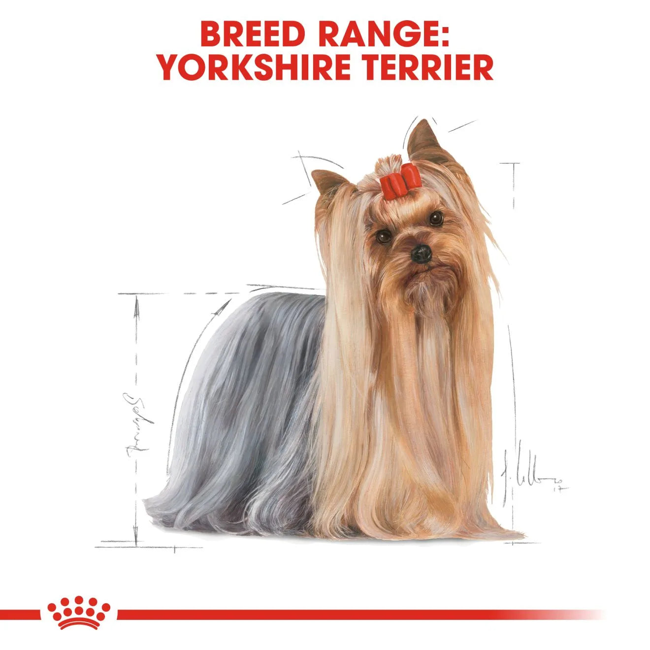 Royal Canin Dry Dog Food for Adult Yorkshire Terriers