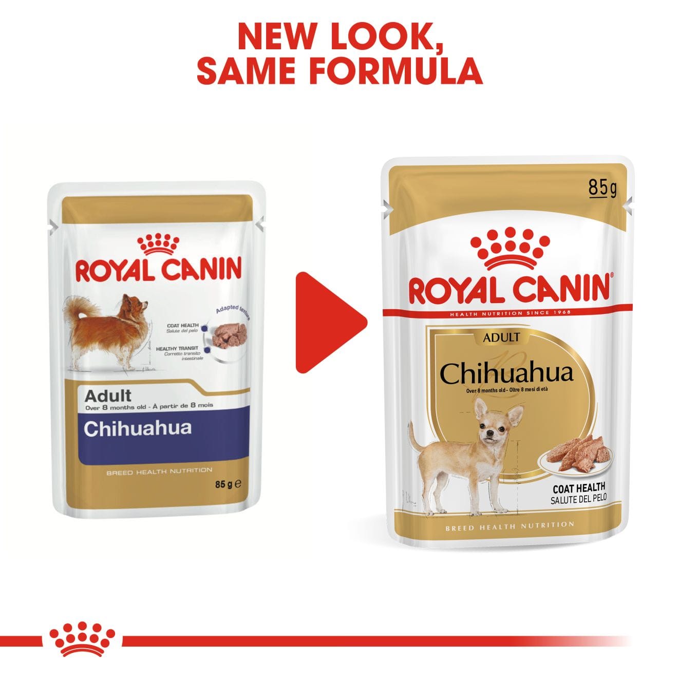 Royal Canin Wet Dog Food Loaf In Sauce for Adult Chihuahuas, 85g