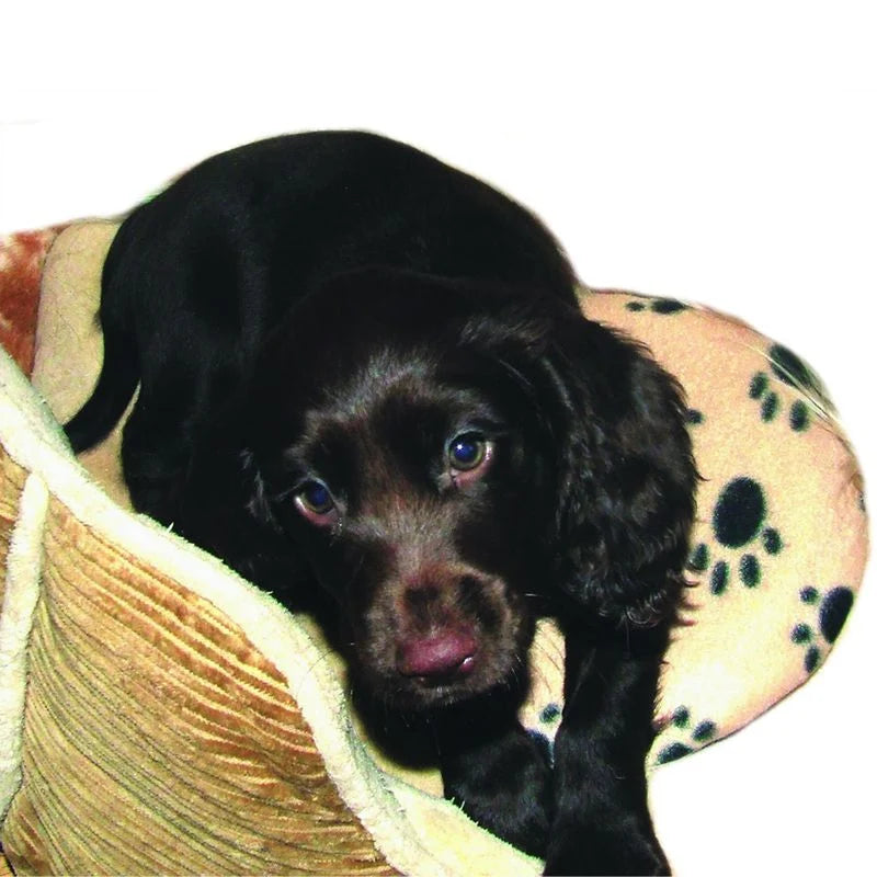 SnuggleSafe Microwave Heatpad for Pets