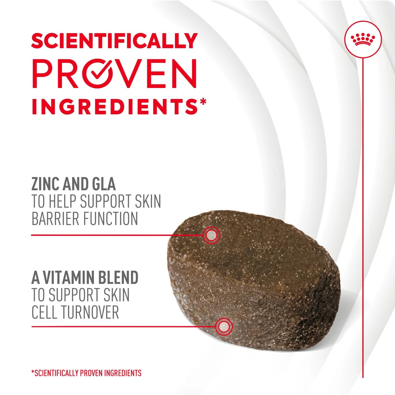 Royal Canin Dog Supplement for Skin & Coat Soft Chews, 240g