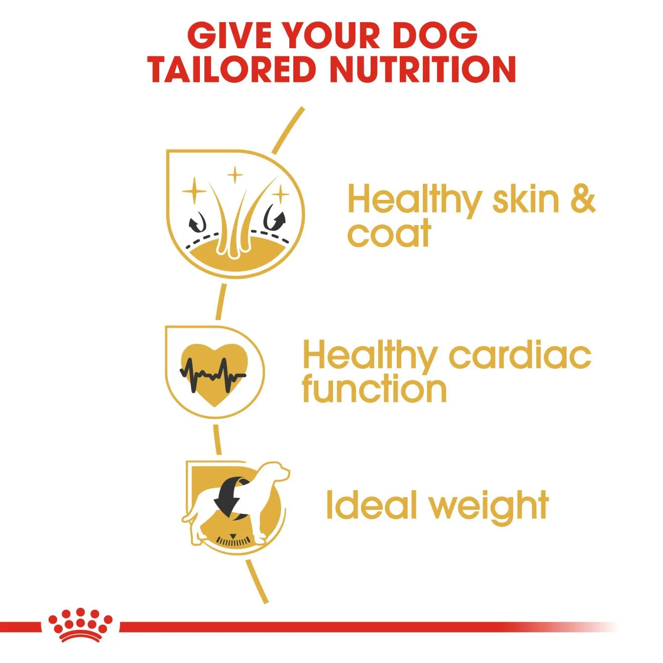 Royal Canin Dry Dog Food for Adult Golden Retrievers, 12kg