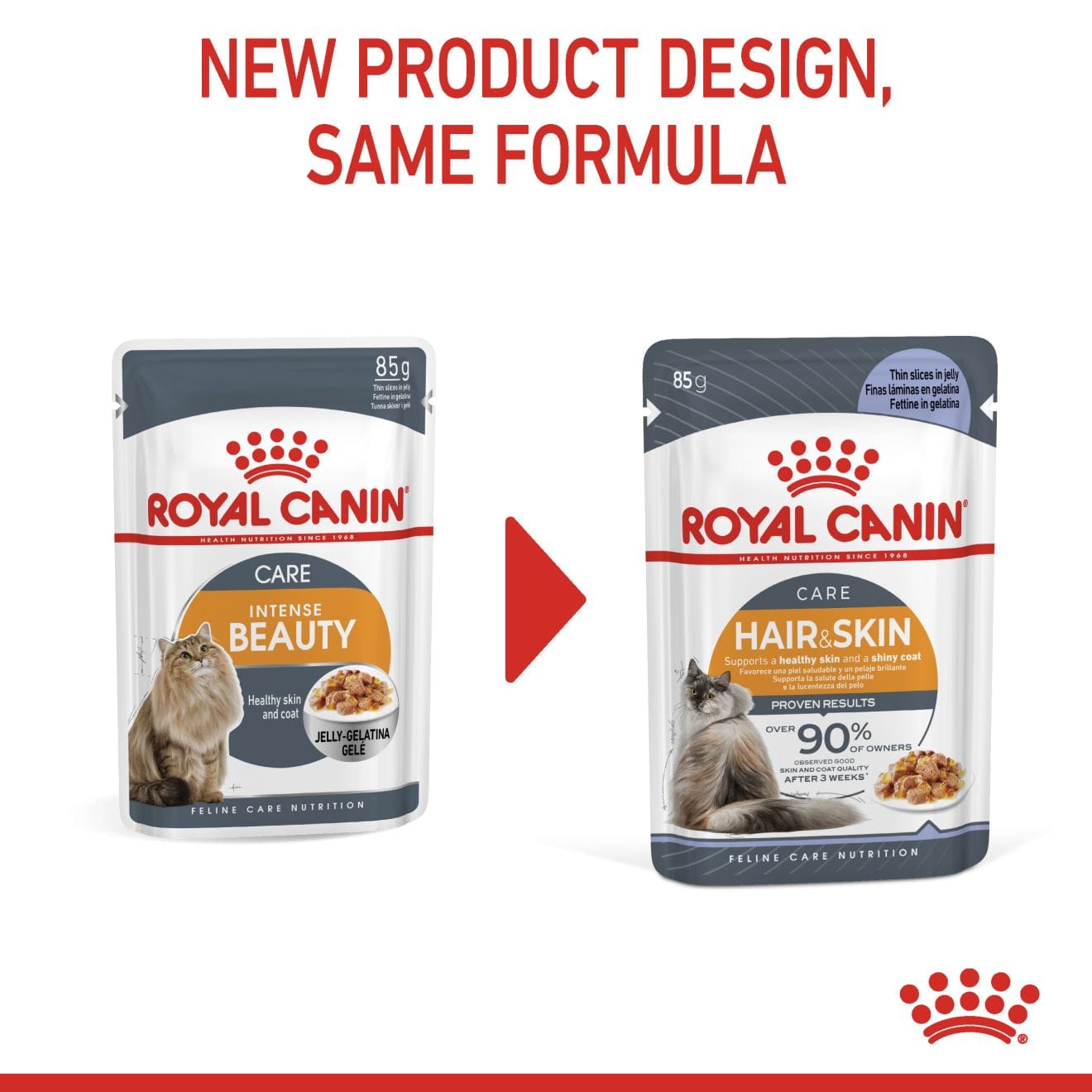 Royal Canin Hair & Skin Care Wet Cat Food Thin Slices In Jelly for Adult Cats, 85g