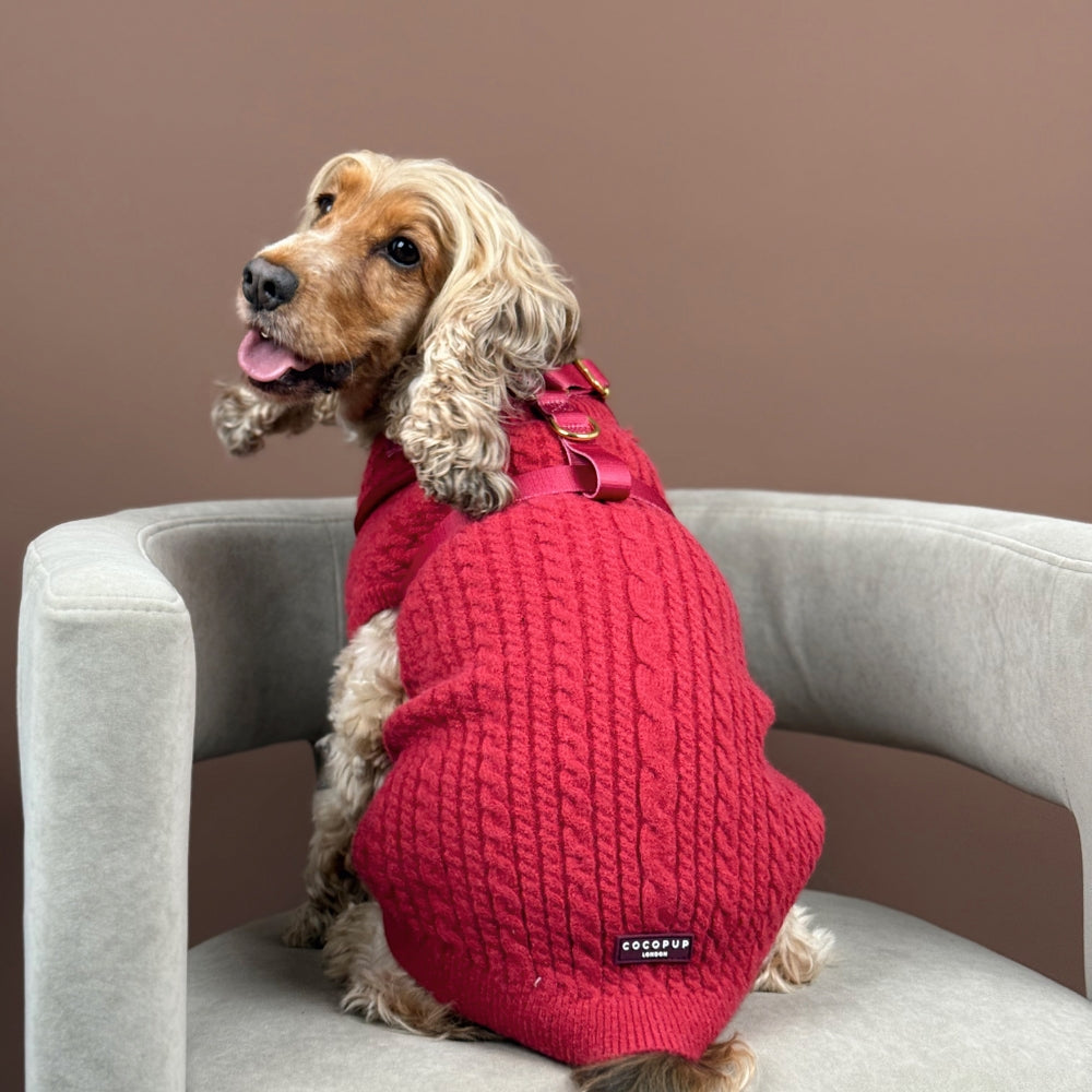 Cocopup Mulled Wine Cable Knit Dog Jumper