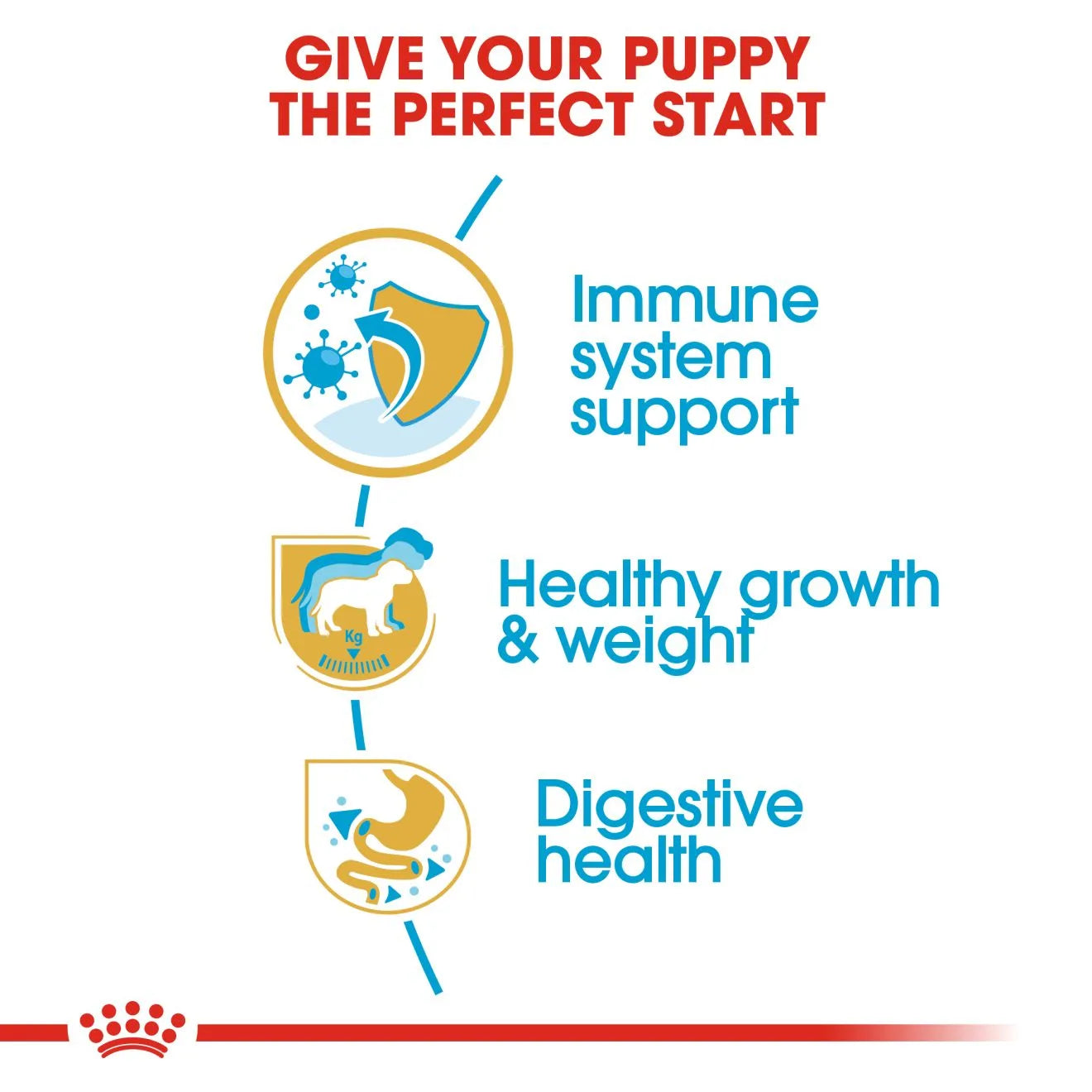 Royal Canin Dry Dog Food for Labrador Retriever Puppies