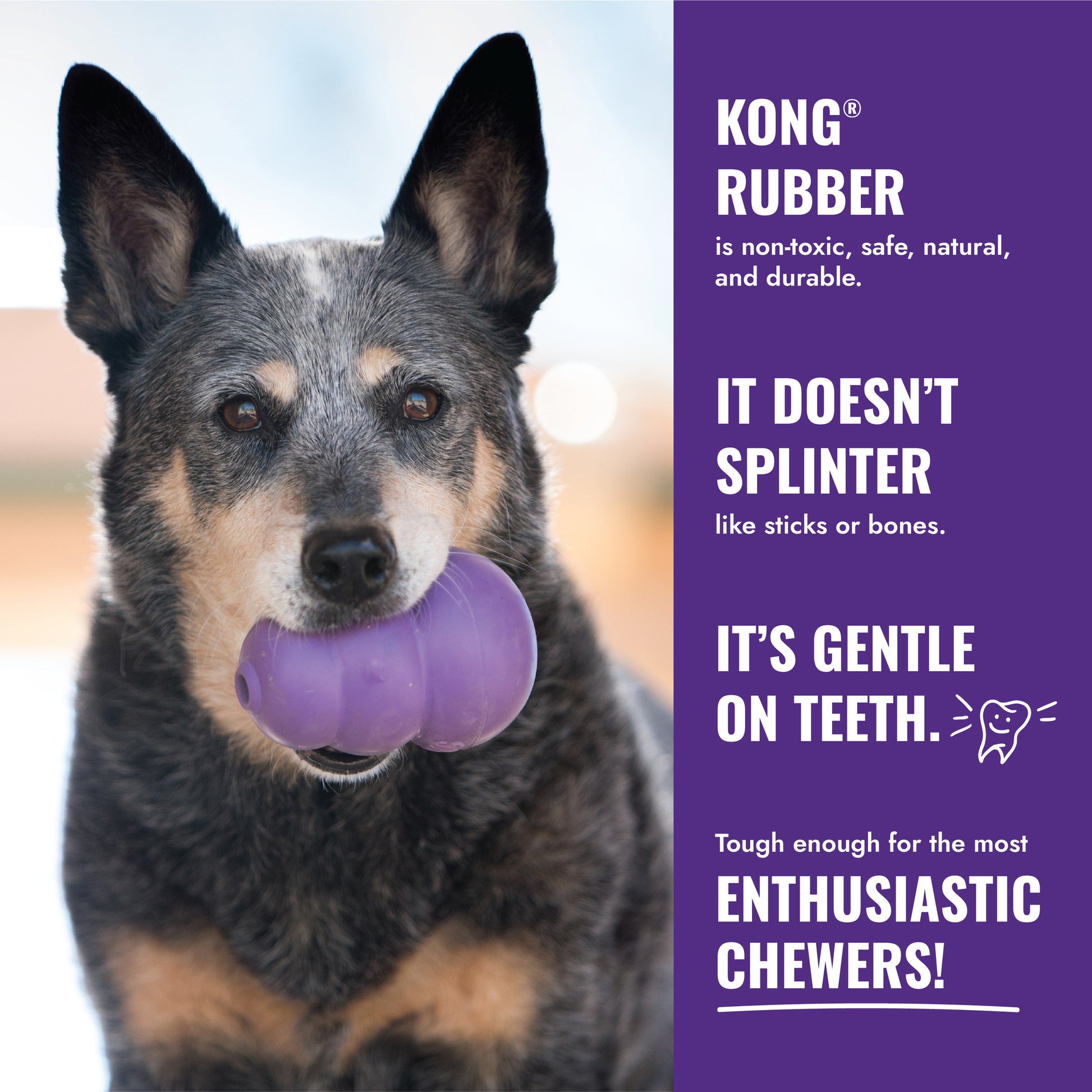 Kong Senior Dog Toy