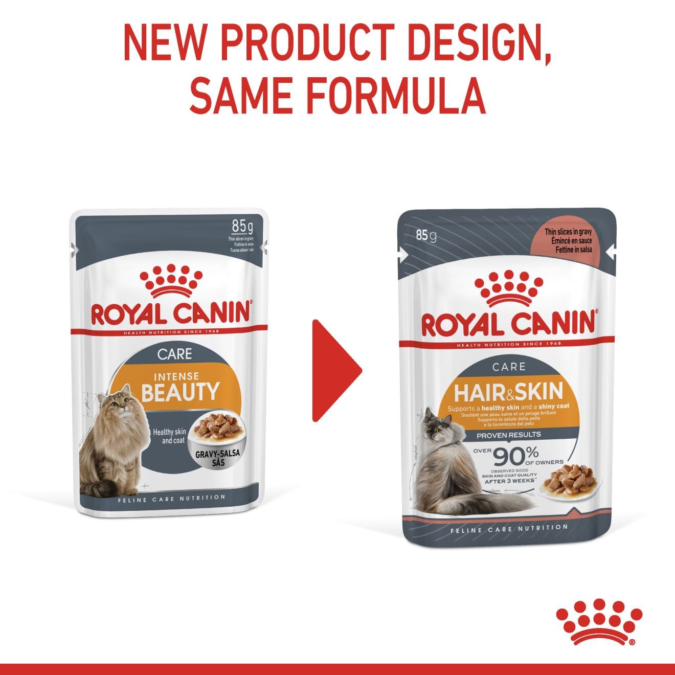 Royal Canin Hair & Skin Care Wet Cat Food Thin Slices In Gravy for Adult Cats, 85g
