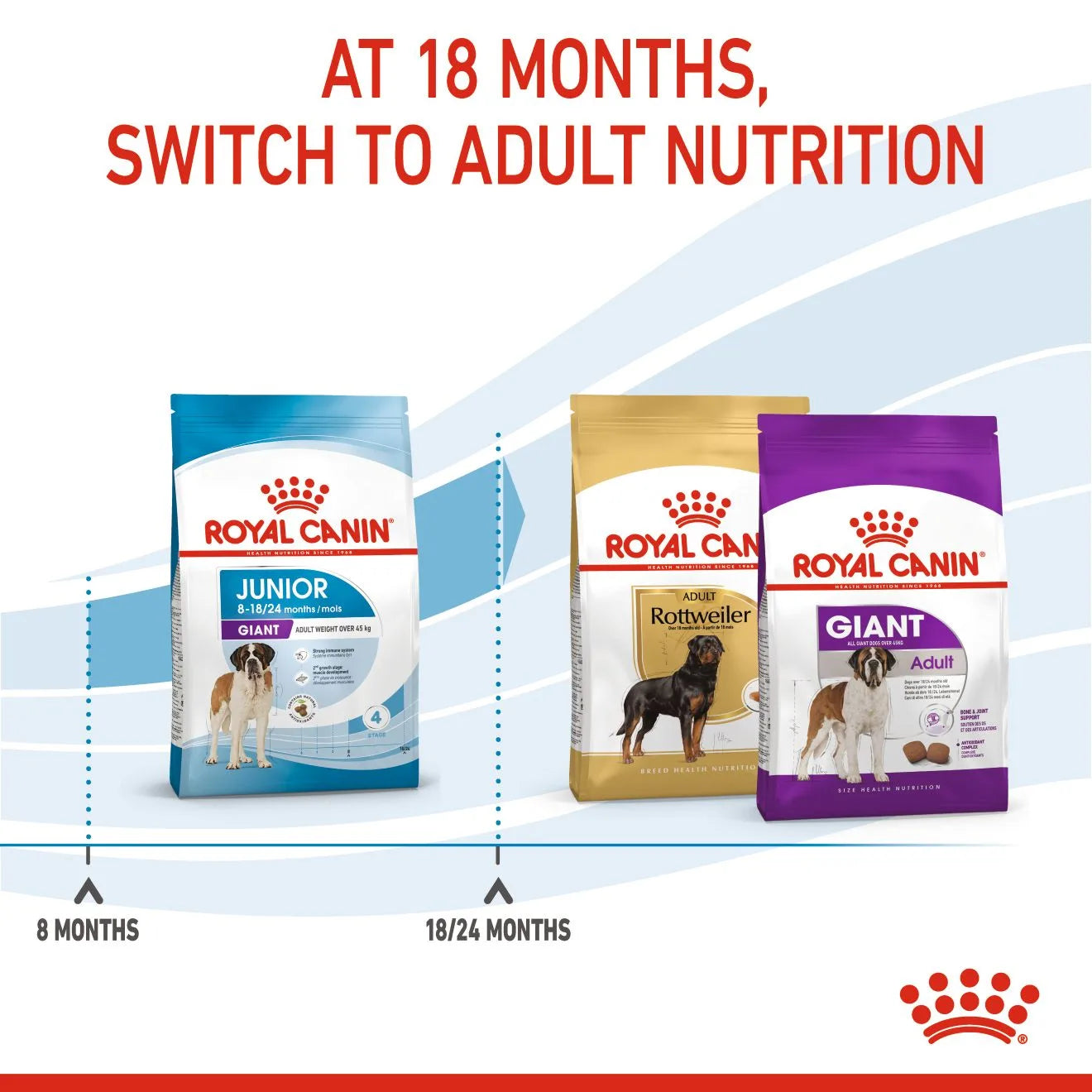 Royal Canin Dry Dog Food for Extra Large Breed Junior Dogs, 15kg