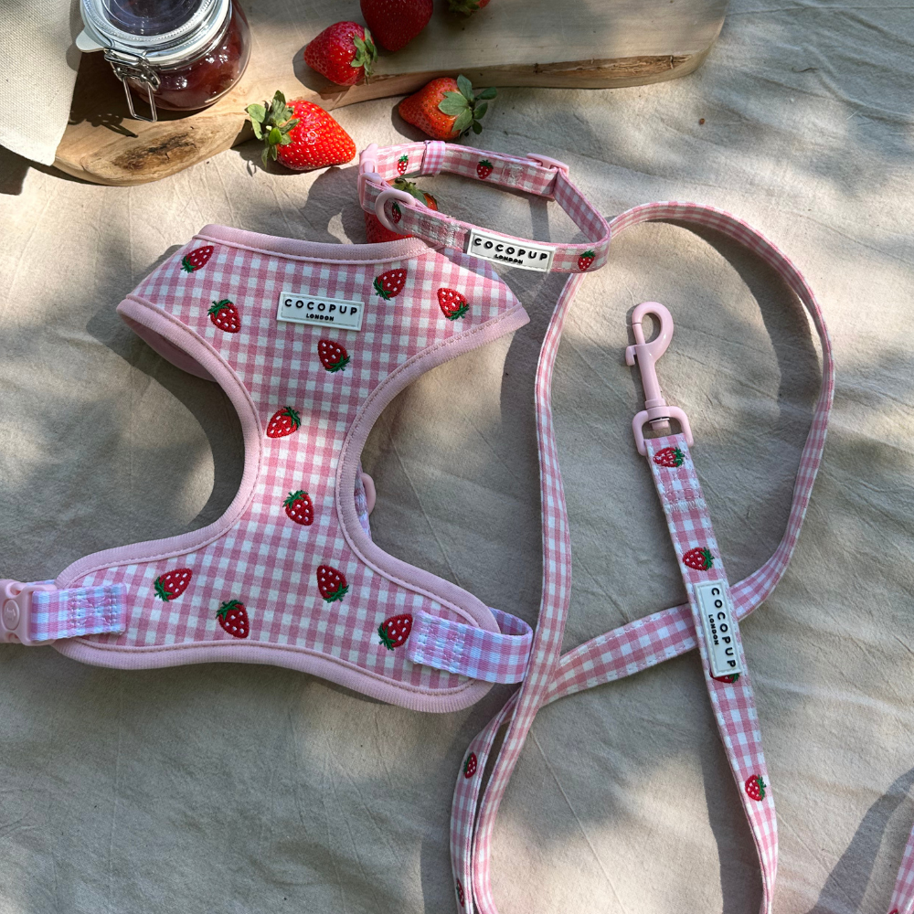 Cocopup Strawberry Picnic Pup Adjustable Neck Dog Harness
