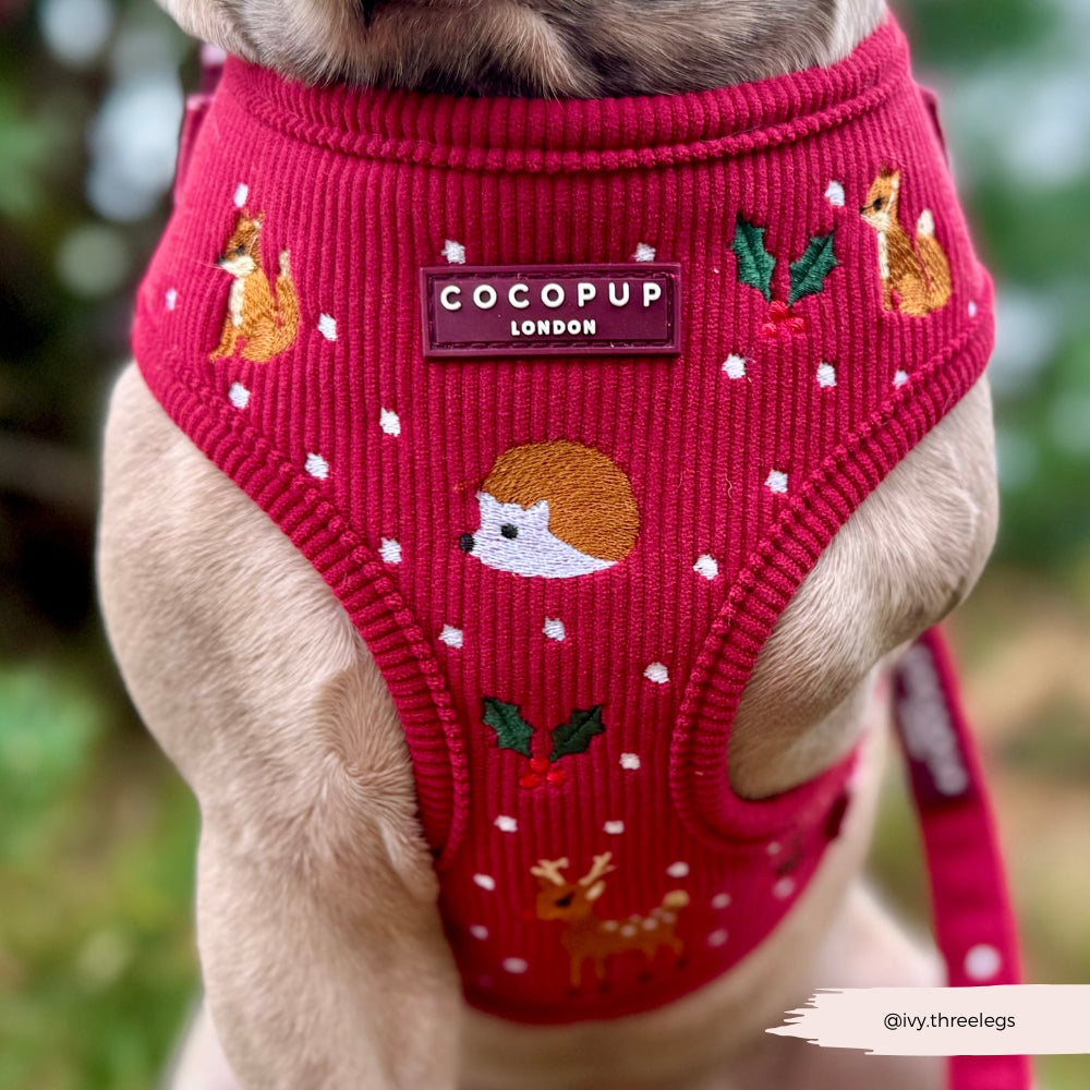 Cocopup Holly Jolly Trails Adjustable Neck Dog Harness