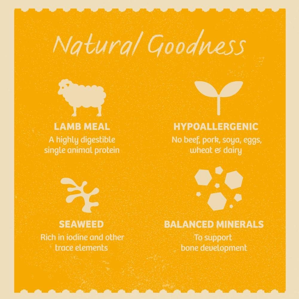 James Wellbeloved Lamb with Rice & Vegetables in Gravy Wet Dog Food for Puppies, 10 x 150g