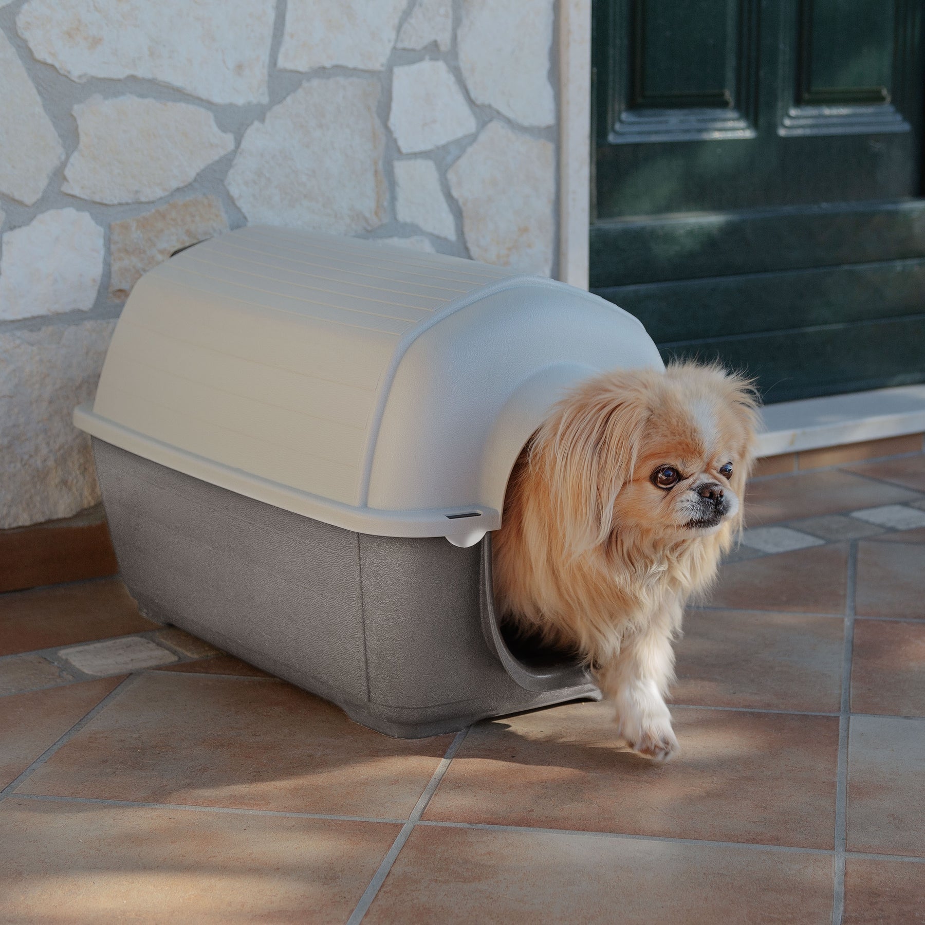 Ferplast Kenny Outdoor Plastic Dog Kennel