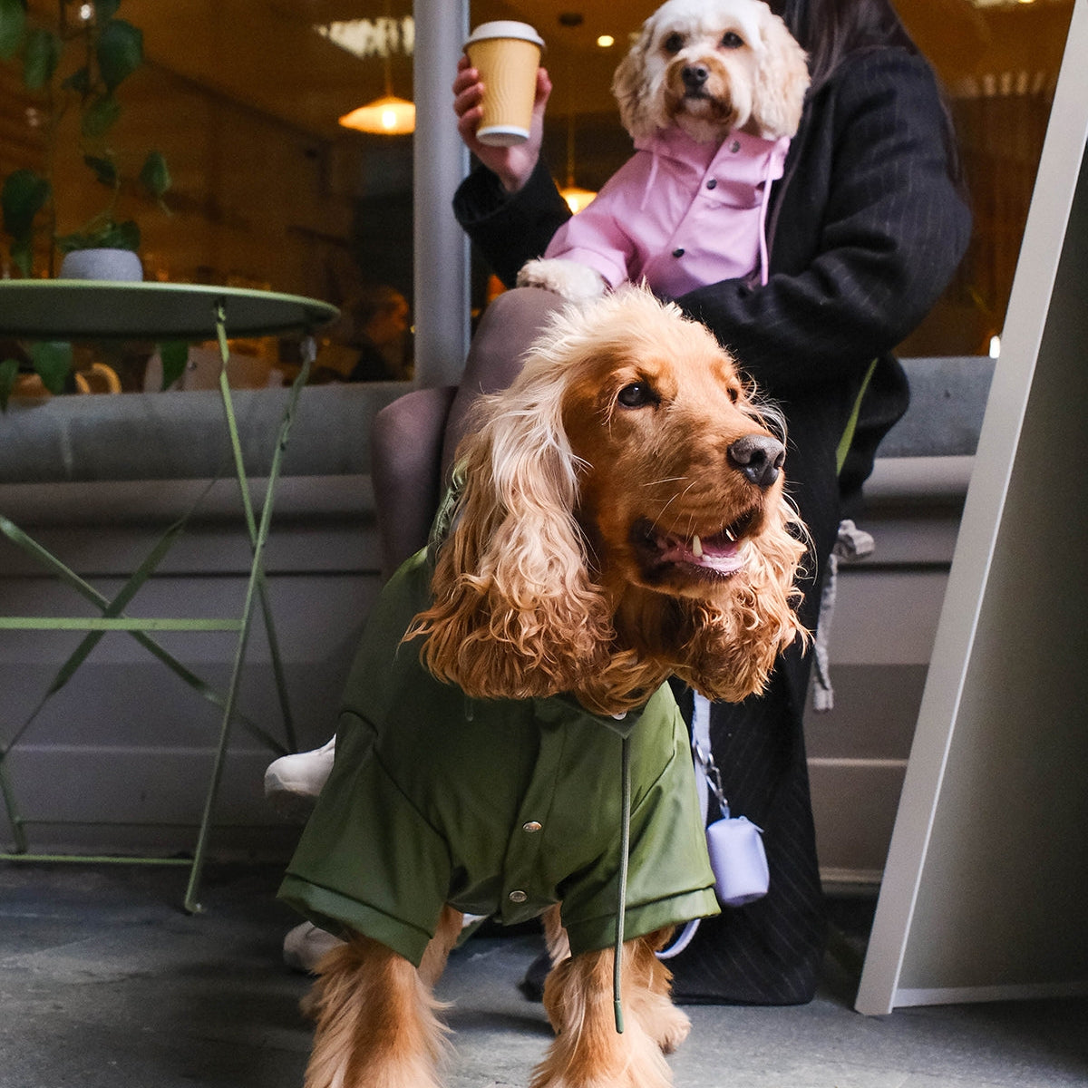 Barc London Green Waterproof Dog Raincoat