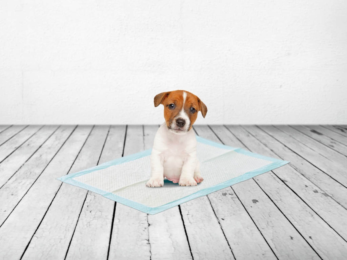 Savic Medium Puppy Training Pad, 50 Pack