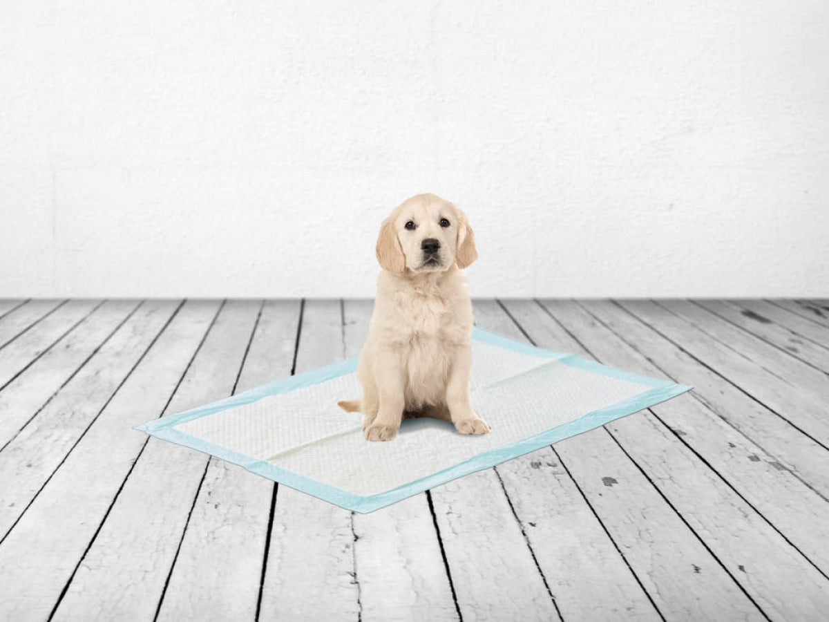Savic Large Puppy Training Pads