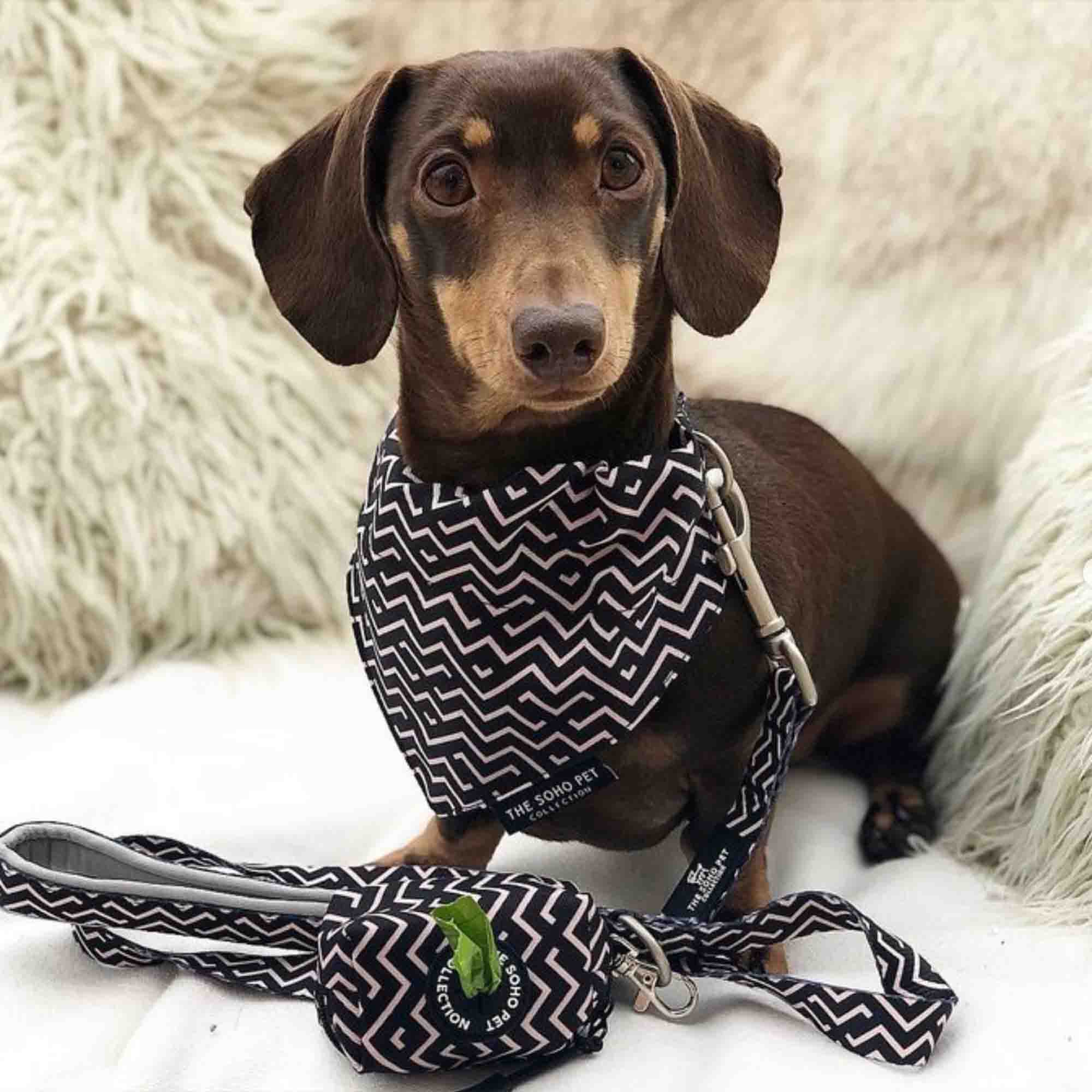 Ancol Soho Zigzag Patterned Poop Bag Dispenser and Scrunchie