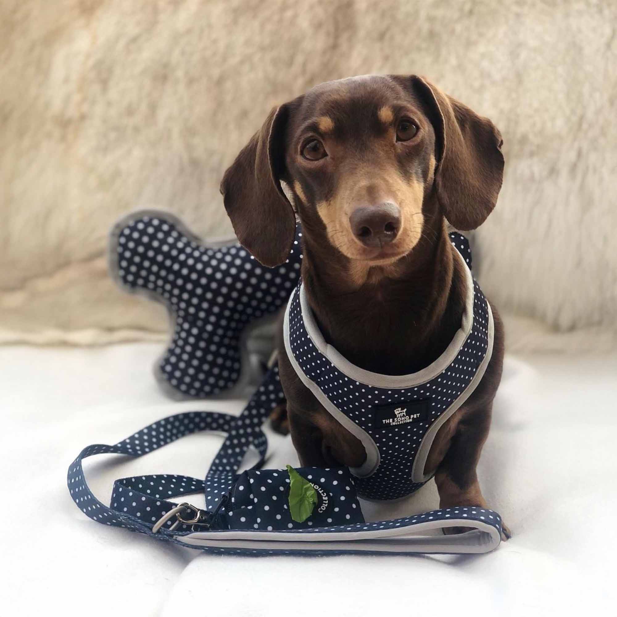 Ancol Soho Polka Dot Patterned Poop Bag Dispenser and Scrunchie