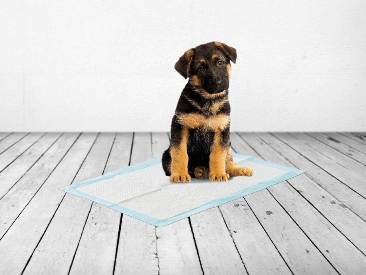 Savic Extra-Large Puppy Training Pads, 30 Pack
