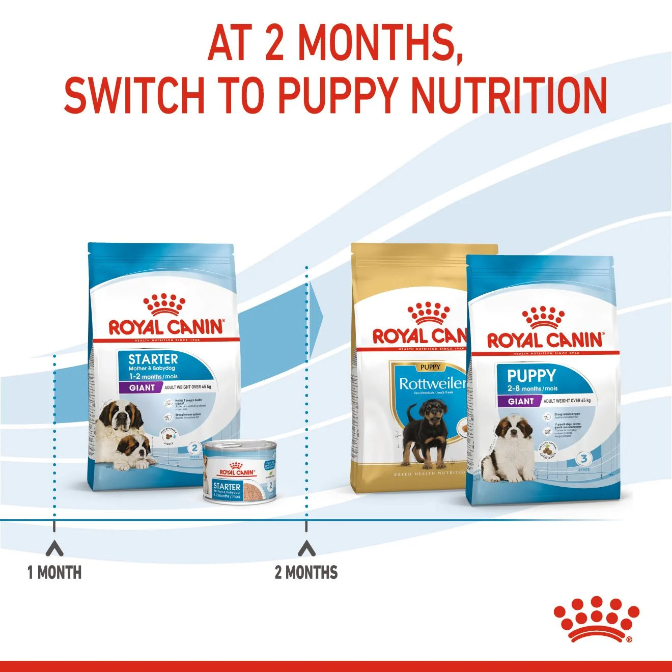 Royal Canin Starter Dry Dog Food for Extra Large Breed Mother & Babydog, 15kg
