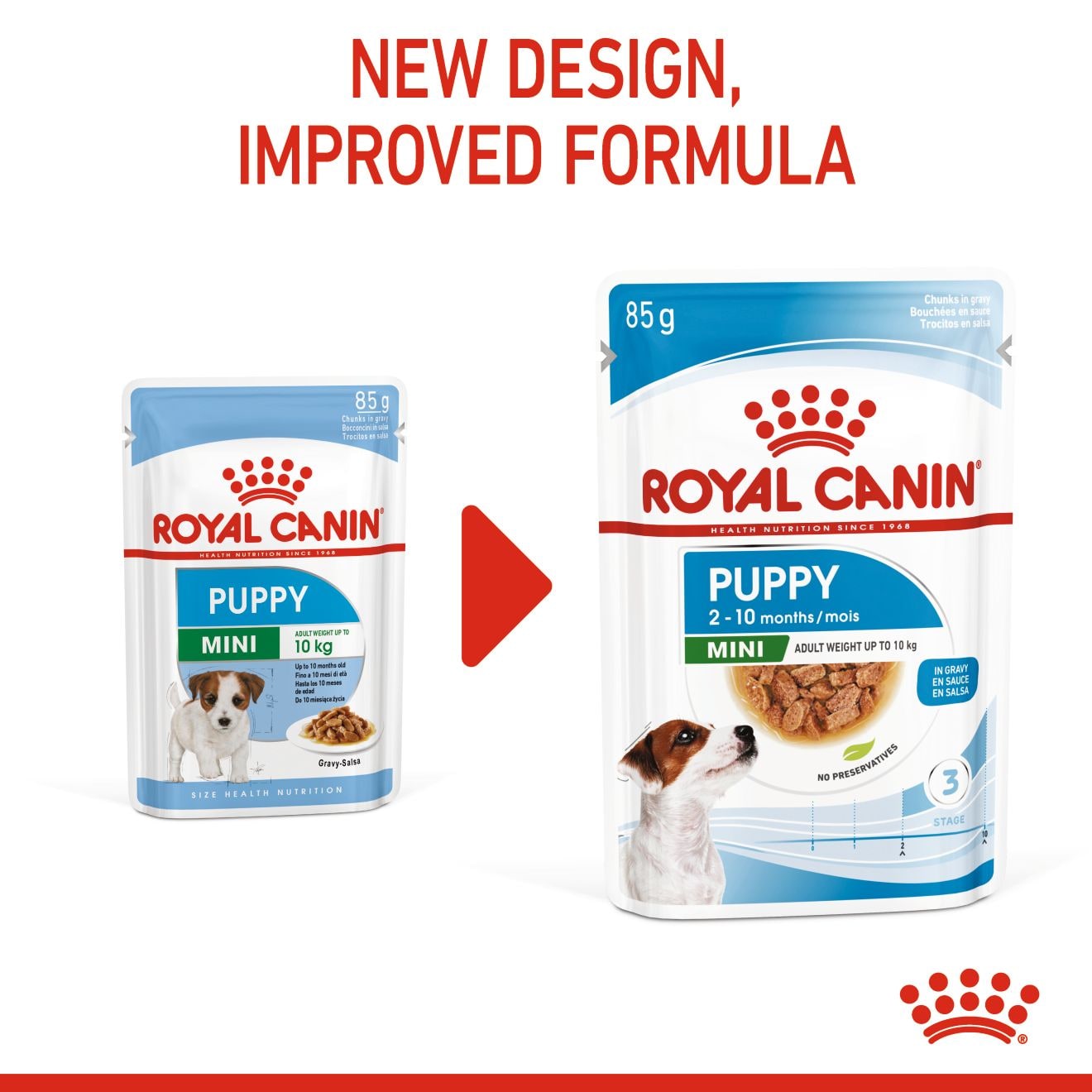Royal Canin Wet Small Dog Food Chunks In Gravy for Small Breed Puppies, 85g