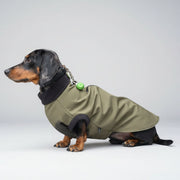 Chic Pup Co Olive Waterproof Zip Dog Jumper for Small Dogs