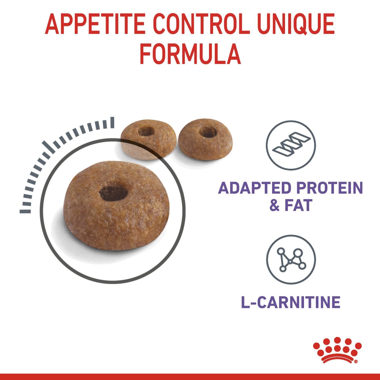 Royal Canin Appetite Control Care Dry Cat Food for Adult Cats, 3.5kg